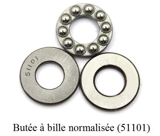 Atelier Extrudeuse Filament Plastique Butee-Normalisee-51101.jpg Atelier Extrudeuse Filament Plastique Butee-Normalisee-51101.jpg