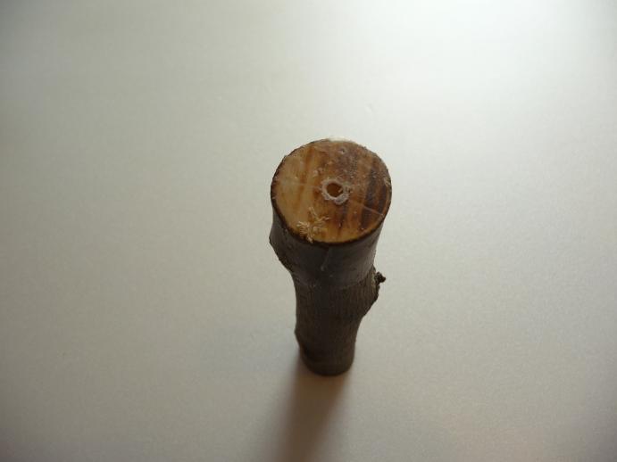 Stylos en bois stylo6.JPG Stylos en bois stylo6.JPG