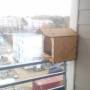 nichoir_pigeons_img_20161117_133850.jpg
