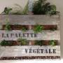 fraisiers_en_palette_la_palette_vegetale.jpg
