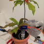 systeme_d_arrosage_automatique_img_20220707_224549.png